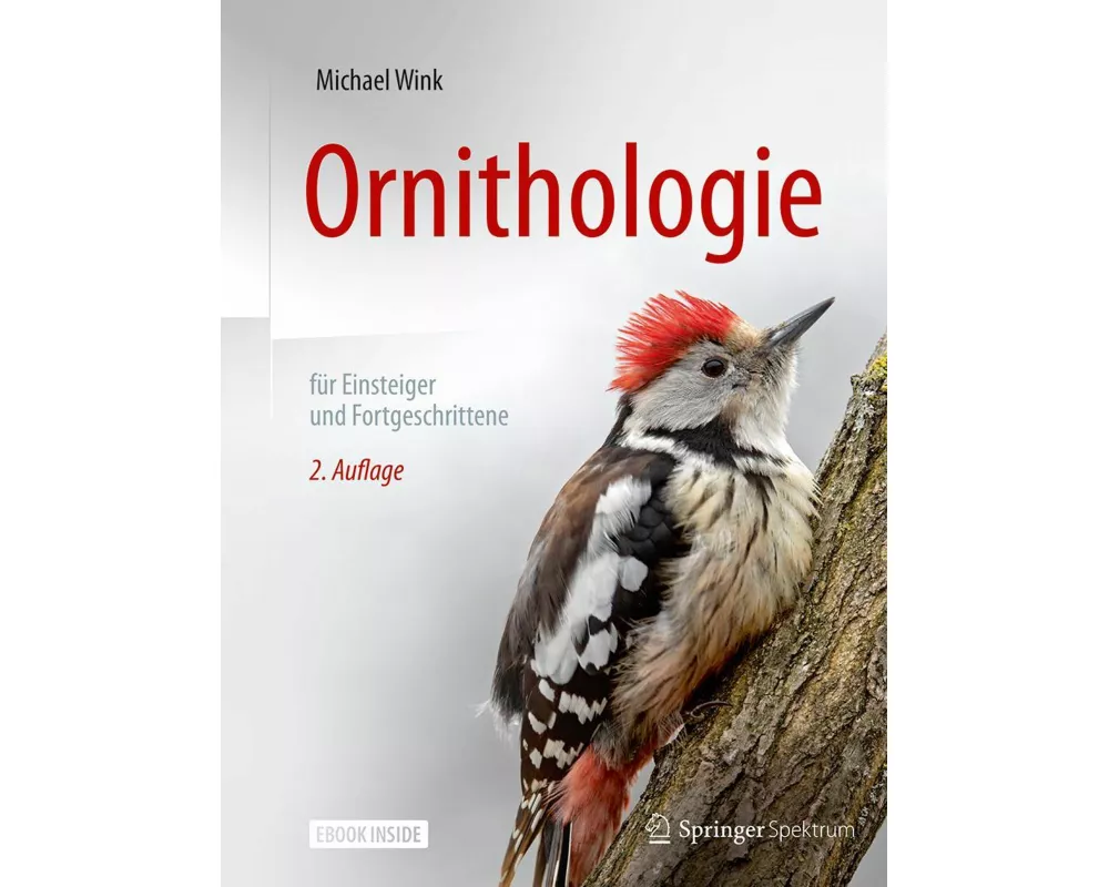 Ornithologie für Einsteiger und Fortgeschrittene