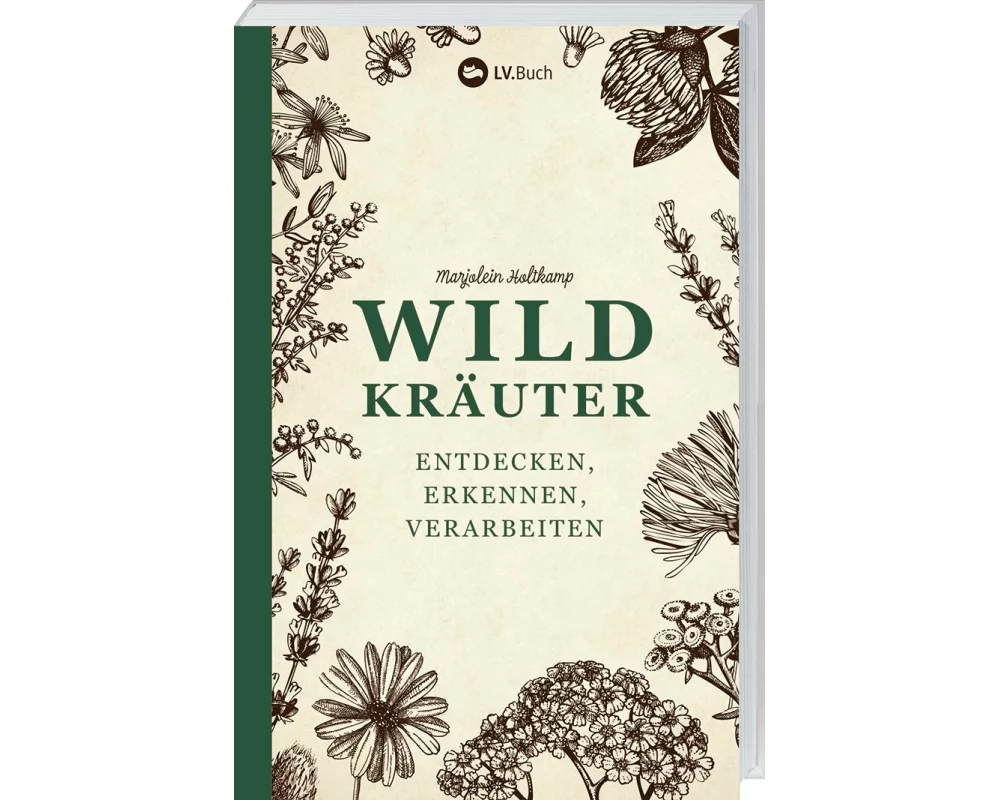 Wildkräuter entdecken, erkennen und verarbeiten