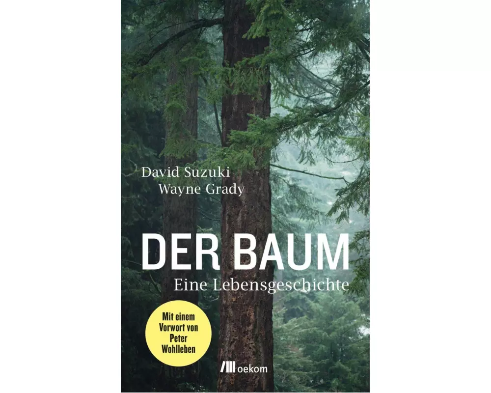 Der Baum