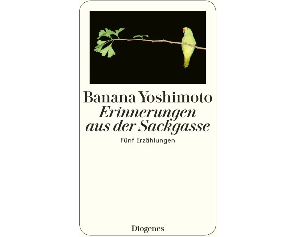 Erinnerungen aus der Sackgasse