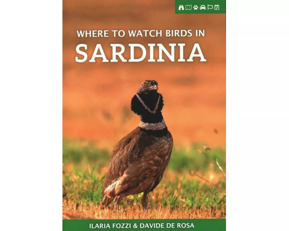 Where to Watch Birds in Sardinia