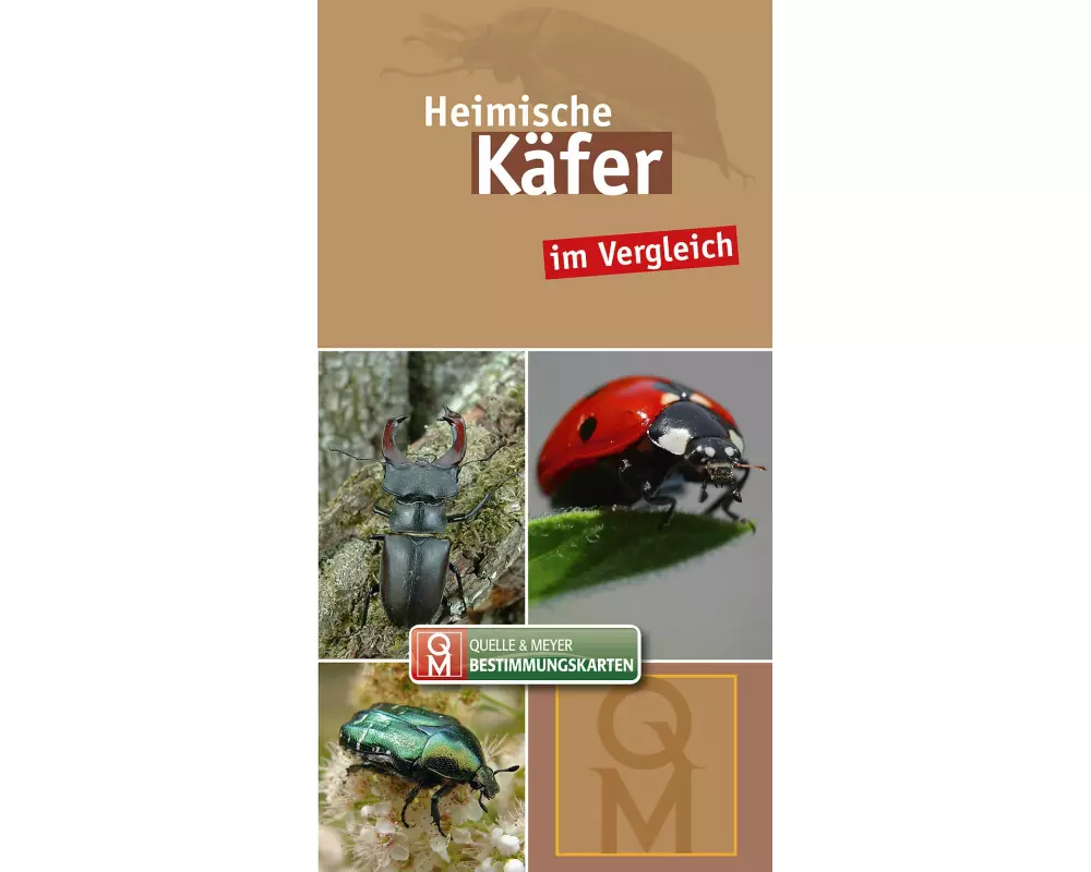 Heimische Käfer