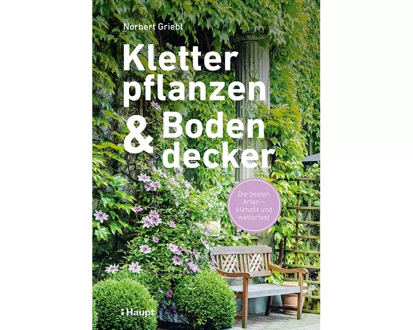 Kletterpflanzen und Bodendecker