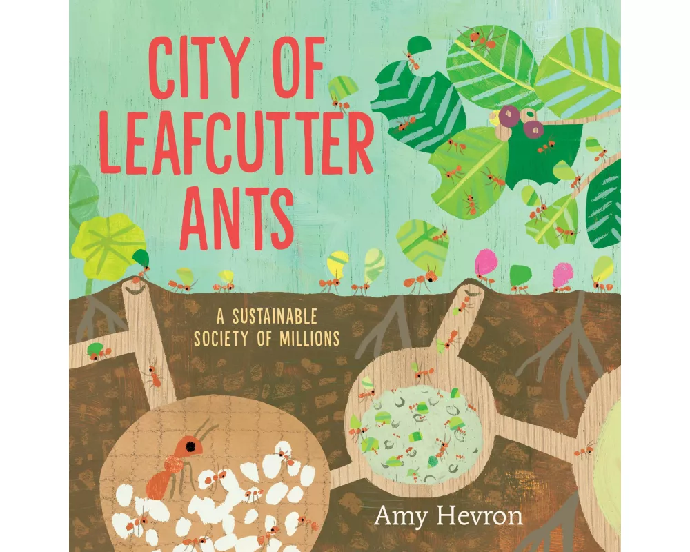 City of Leafcutter Ants
