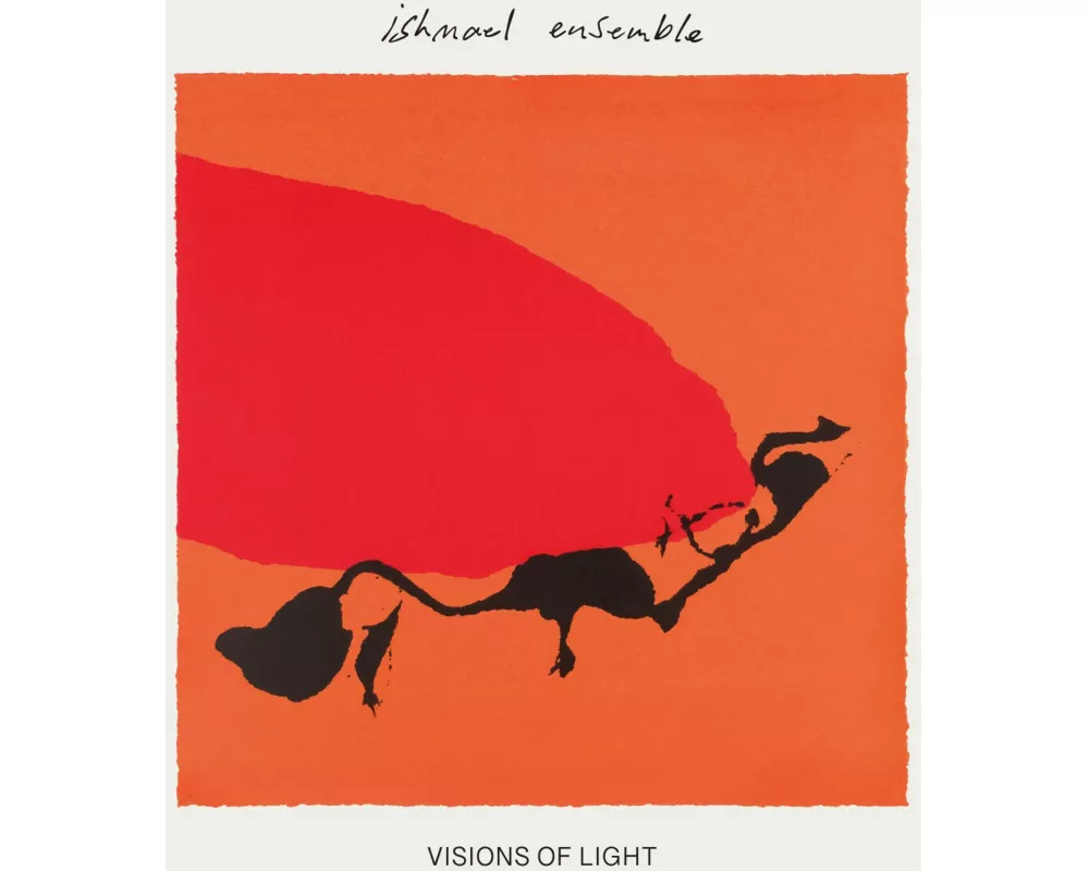 Visions Of Light