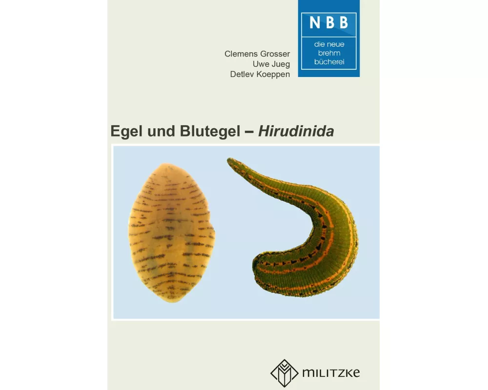 Egel und Blutegel