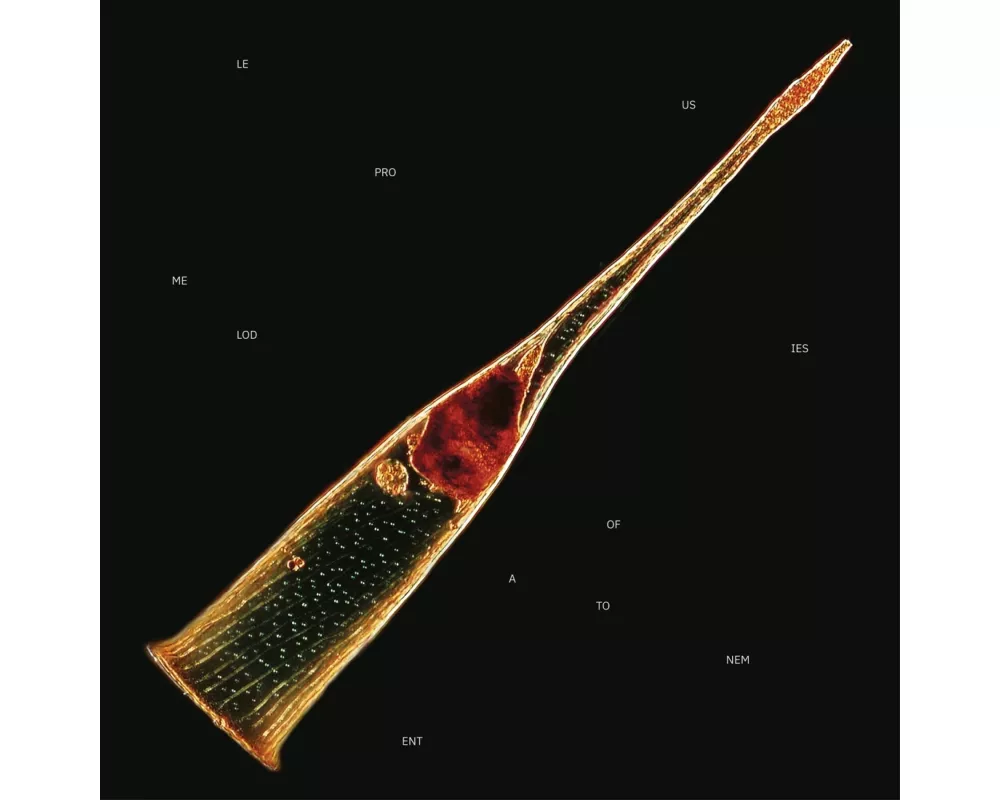 Melodies Of Atonement