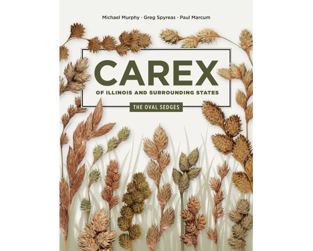 Carex of Illinois and Surrounding States