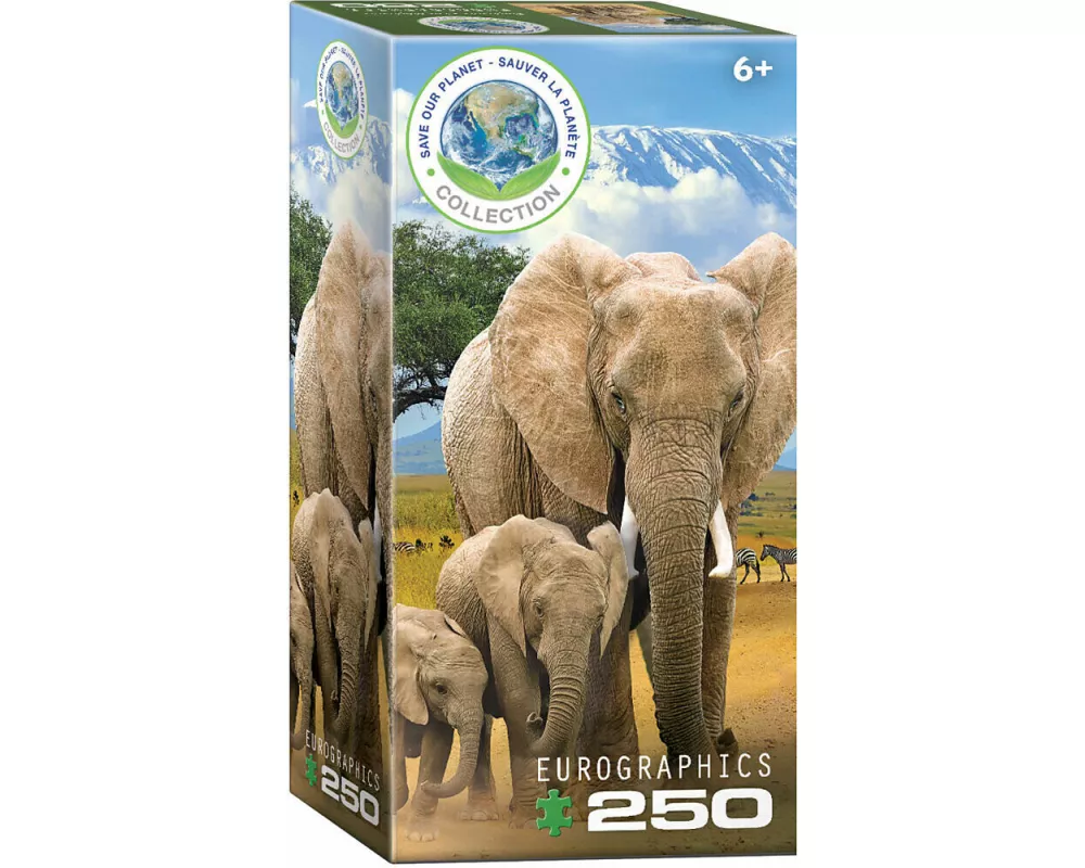 Elephants