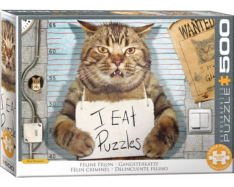 Felony Cat by Paul Normand