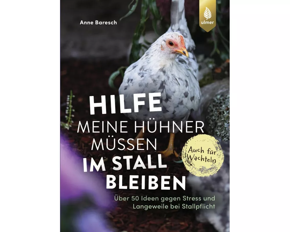 Hilfe, meine Hühner müssen im Stall bleiben