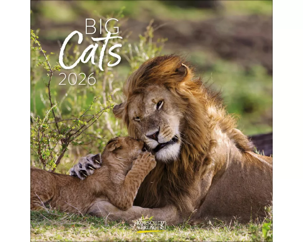 Big Cats 2026