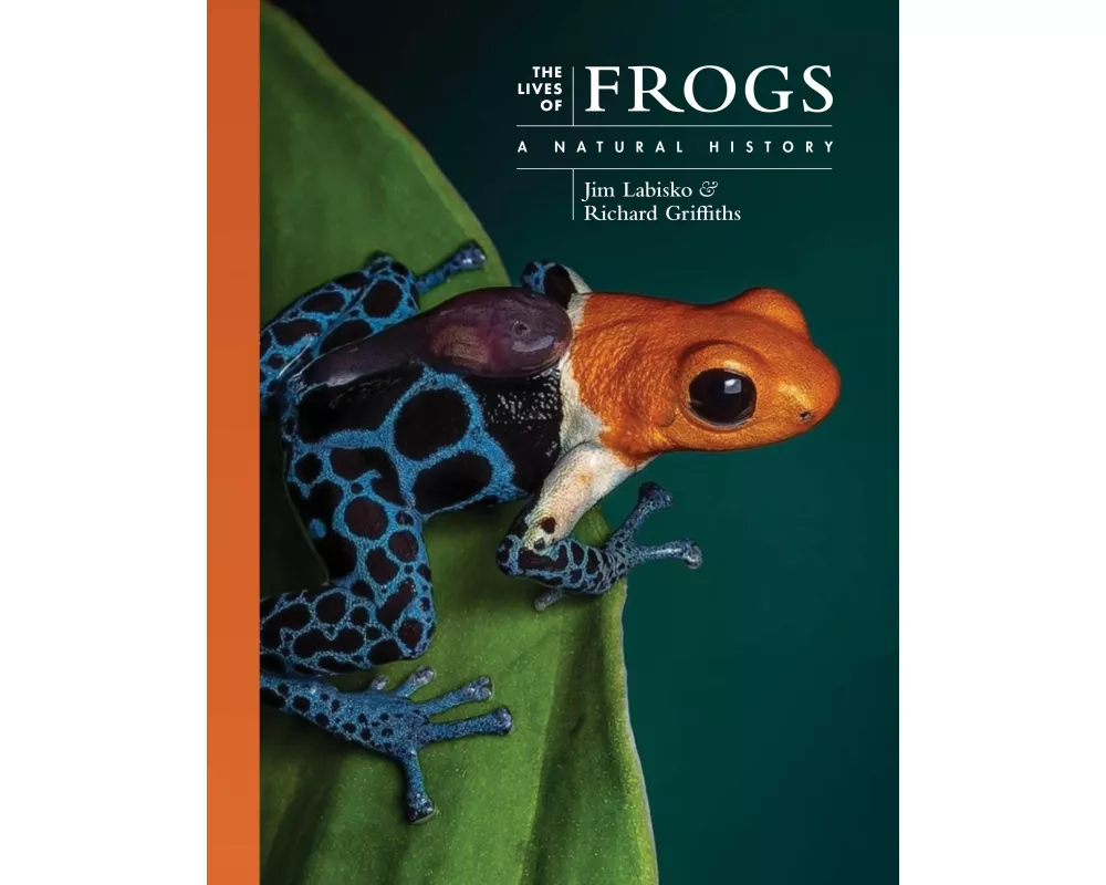 The Lives of Frogs