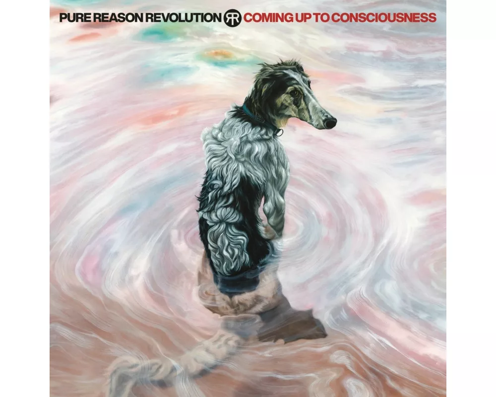 Coming Up To Consciousness