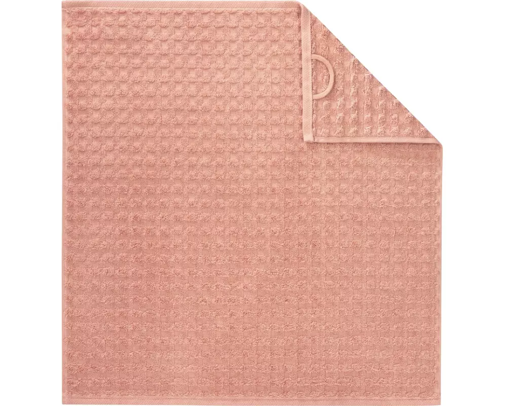 Cawö Geschirrtuch Uni Pro 50 x 50 cm, Tajine