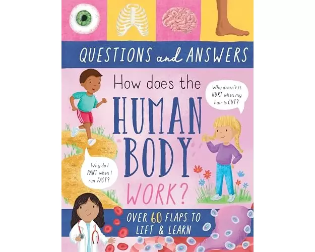How Does the Human Body Work?