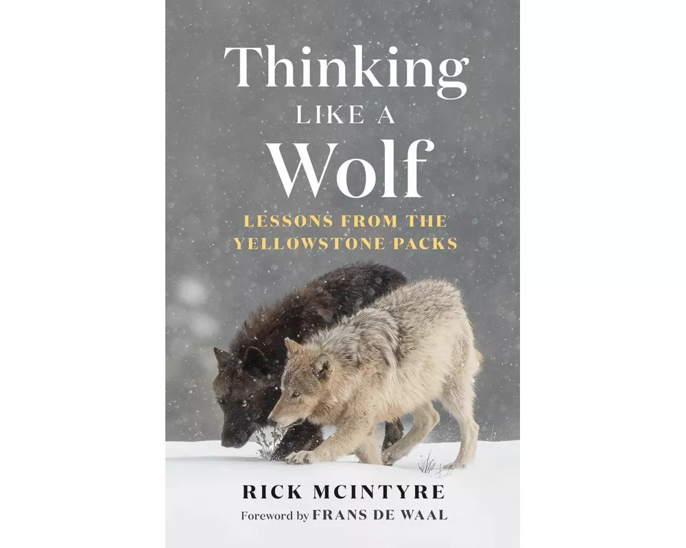 Thinking Like a Wolf