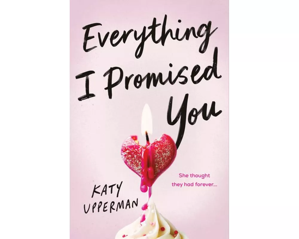 Everything I Promised You