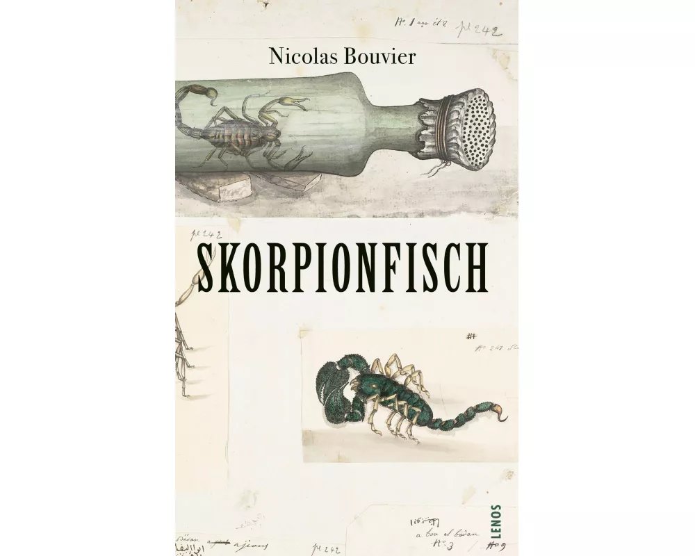 Skorpionfisch