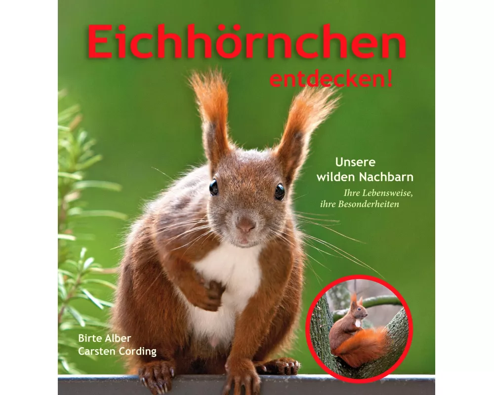 Eichhörnchen entdecken!