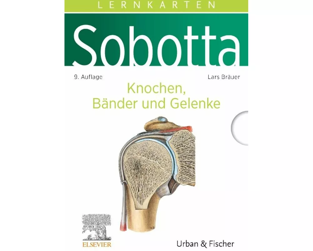 Sobotta Lernkarten Anatomie: Knochen, Bänder und Gelenke
