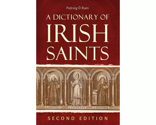 A dictionary of Irish Saints