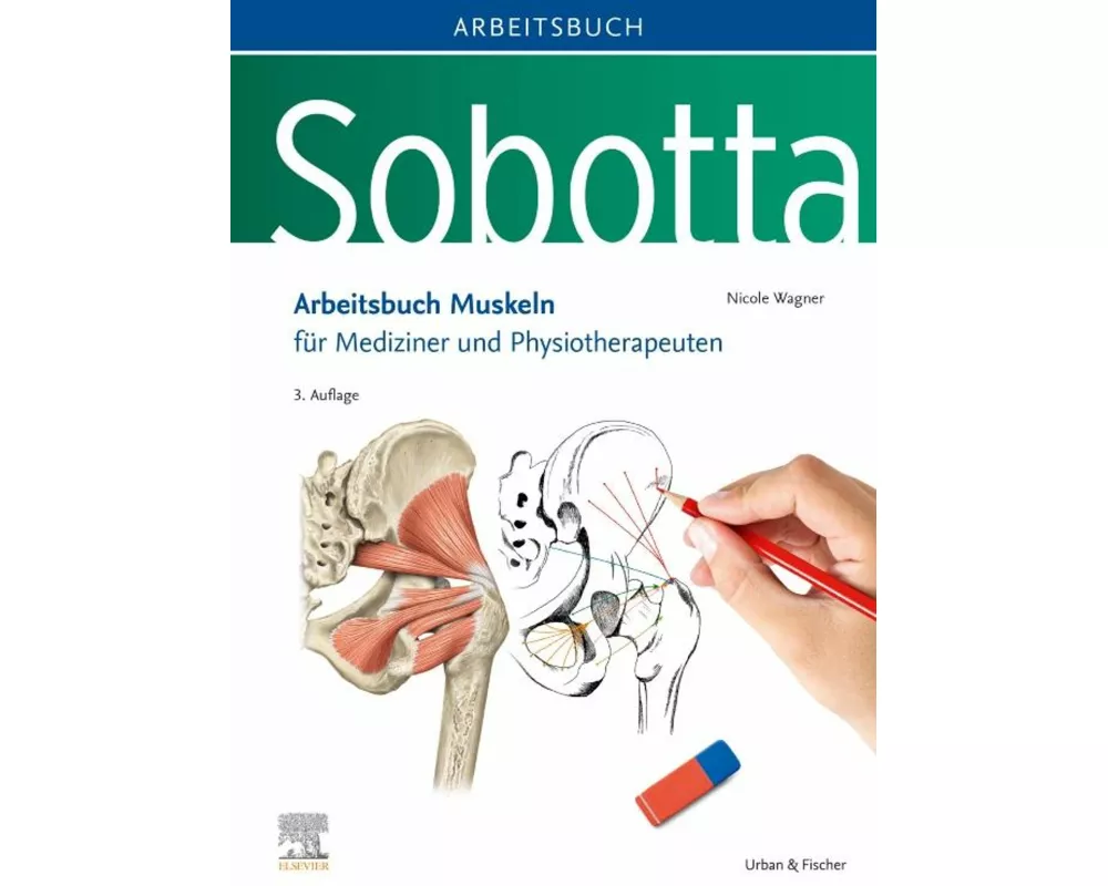 Sobotta Arbeitsbuch Muskeln