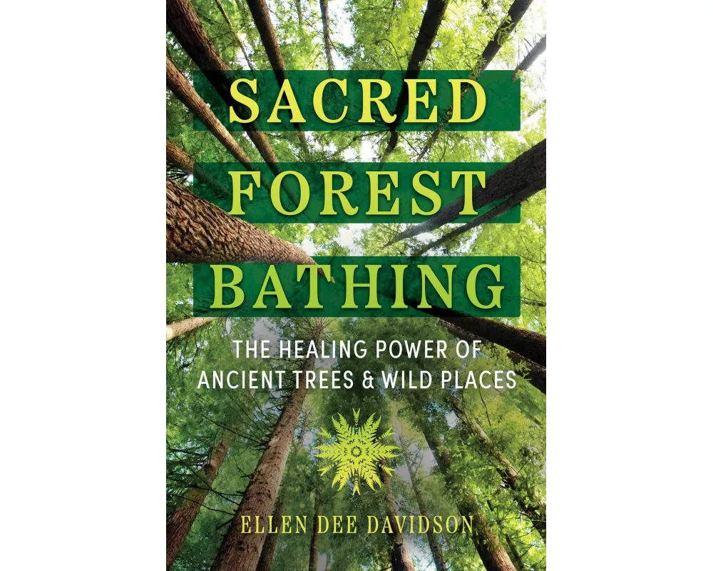 Sacred Forest Bathing