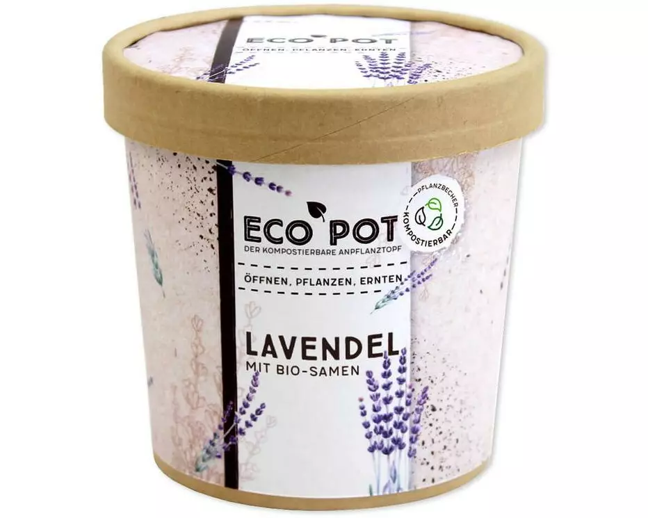 Feel Green EcoPot Lavendel BIO