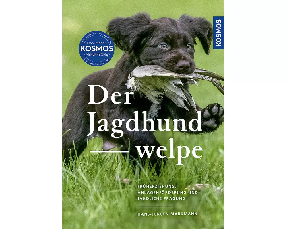Der Jagdhundwelpe