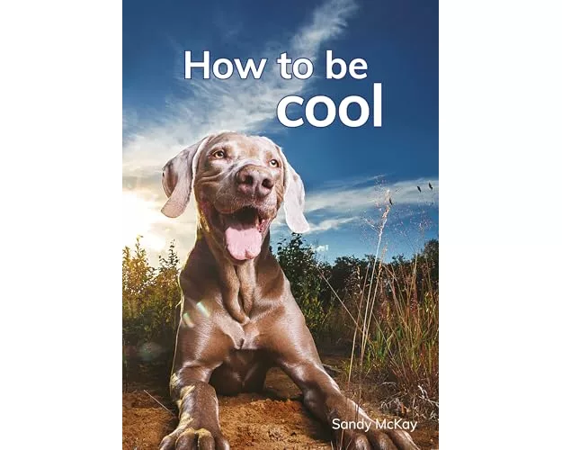 How to be cool