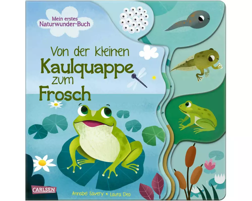 Von der kleinen Kaulquappe zum Frosch