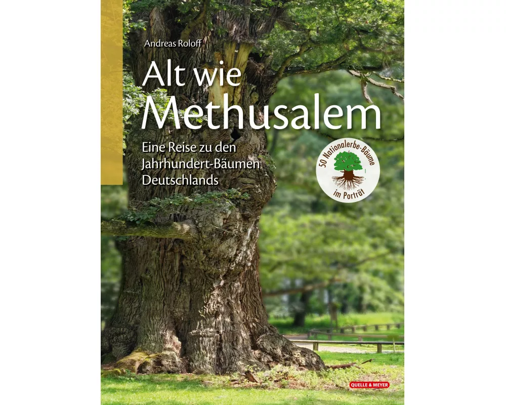 Alt wie Methusalem - Eine Reise zu den Jahrhundert-Bäumen Deutschlands
