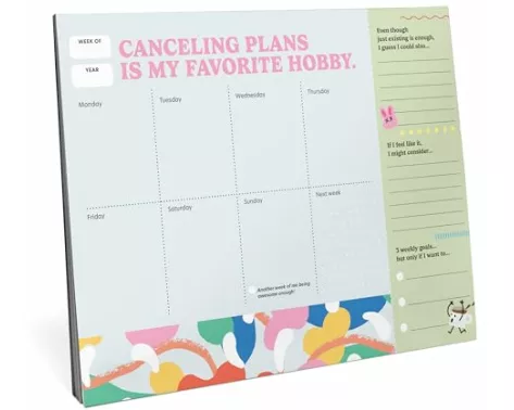 Em & Friends Struggle Is Real Weekly Desktop Planner