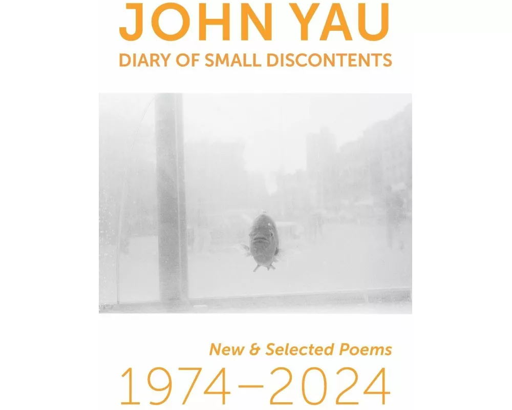 Diary of Small Discontents