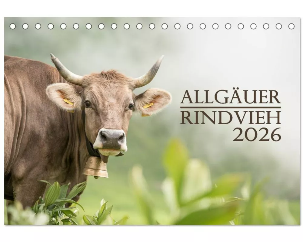 Allgäuer Rindvieh 2026 (Tischkalender 2026 DIN A5 quer), CALVENDO Monatskalender