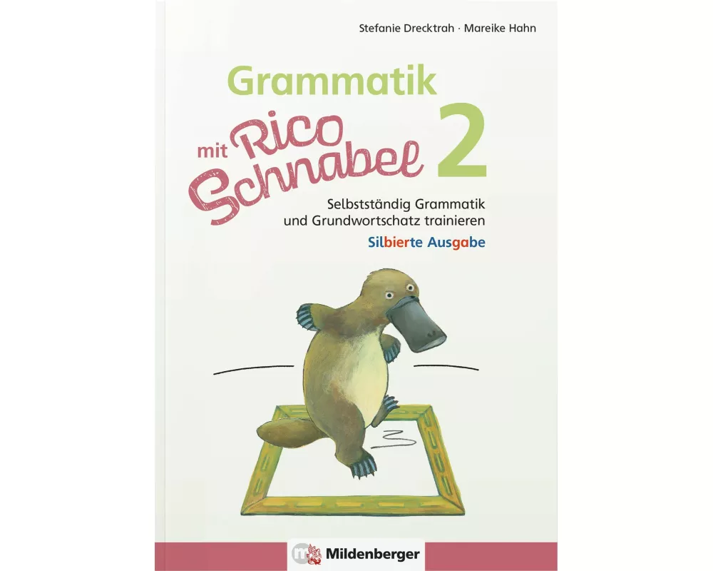 Grammatik mit Rico Schnabel, Klasse 2 - silbierte Ausgabe