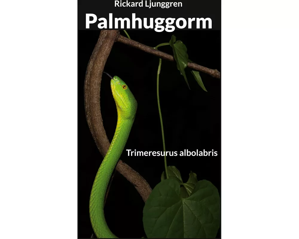 Palmhuggorm