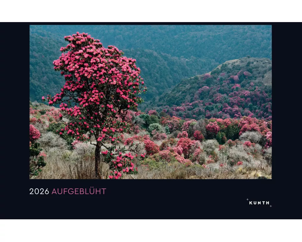 Aufgeblüht - KUNTH Wandkalender 2026