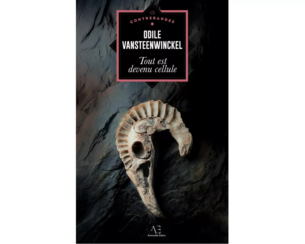 Tout est devenu cellule