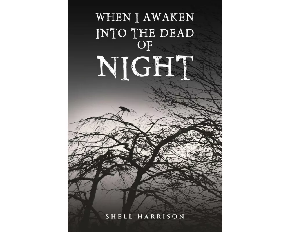 When I Awaken Into The Dead of Night