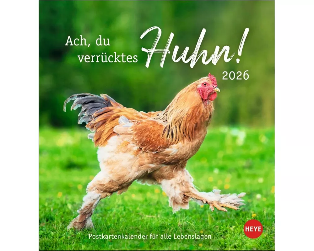 Hühner Postkartenkalender 2026 - Ach, du verrücktes Huhn!