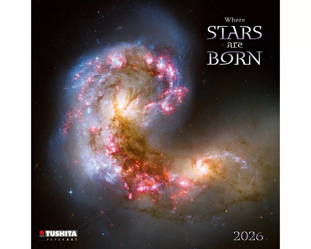 Where Stars are Born 2026