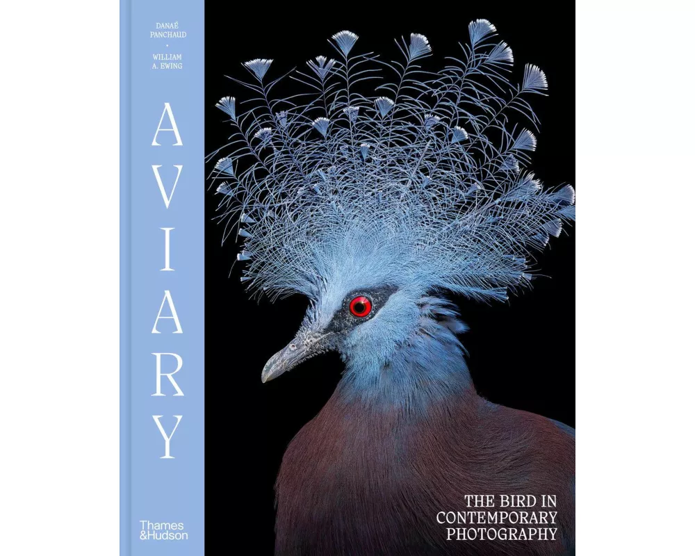 Aviary