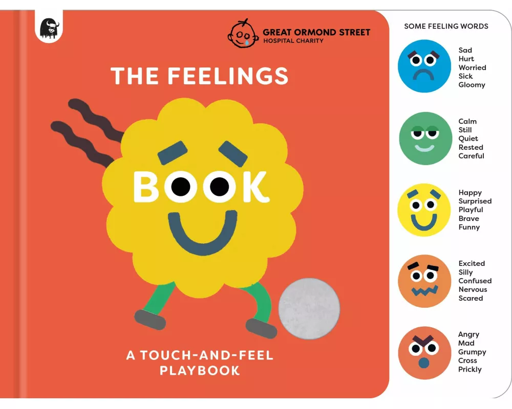 The Feelings Book: Touch-and-Feel Emotions