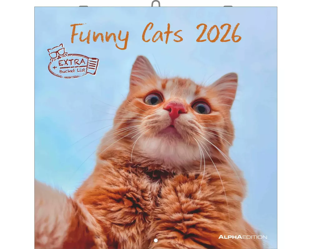 Alpha Edition - Funny Cats Kalender 2026 – Wandkalender 30x30 cm – Lustiger Katzenkalender für Katzenliebhaber – 12 witzige Katzenfotografien, viel Pl