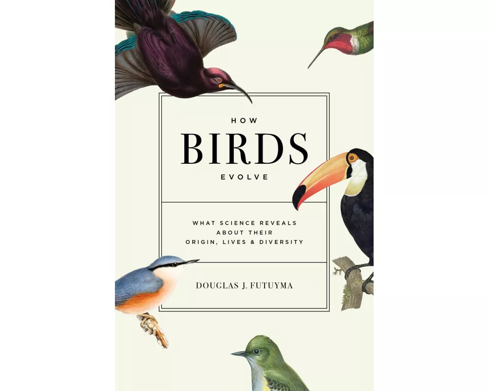 How Birds Evolve