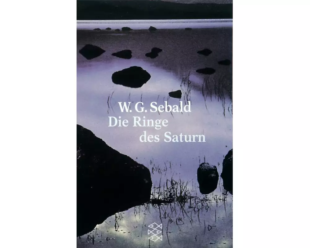 Die Ringe des Saturn