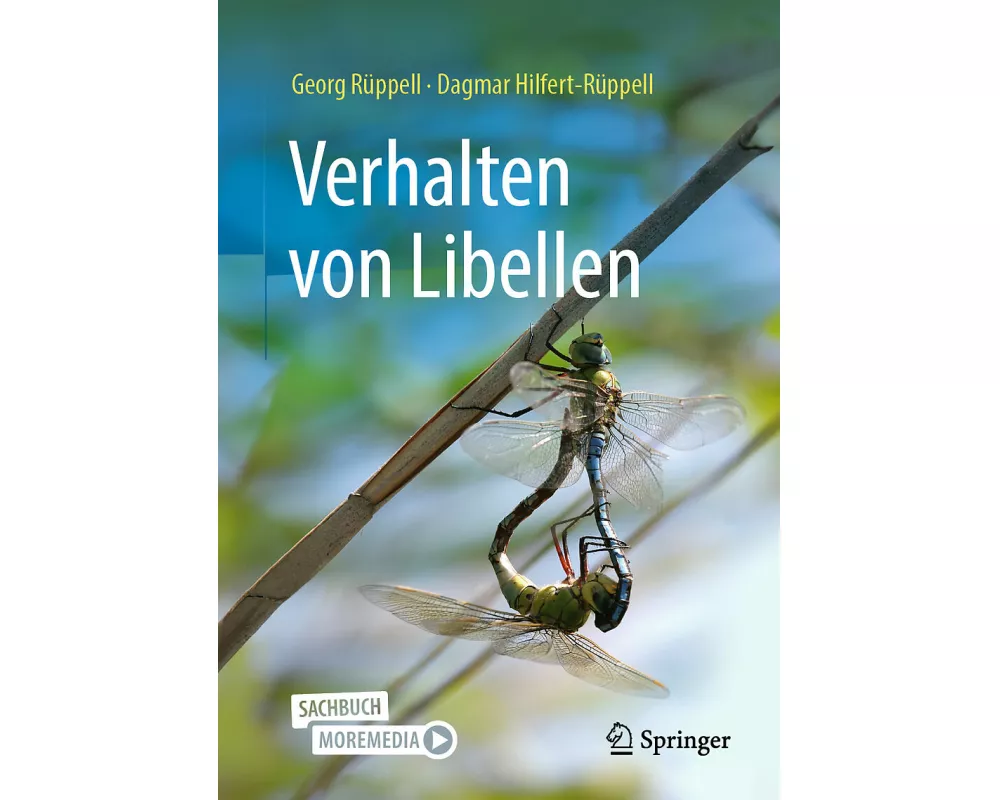Verhalten von Libellen