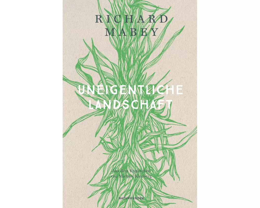 Uneigentliche Landschaft